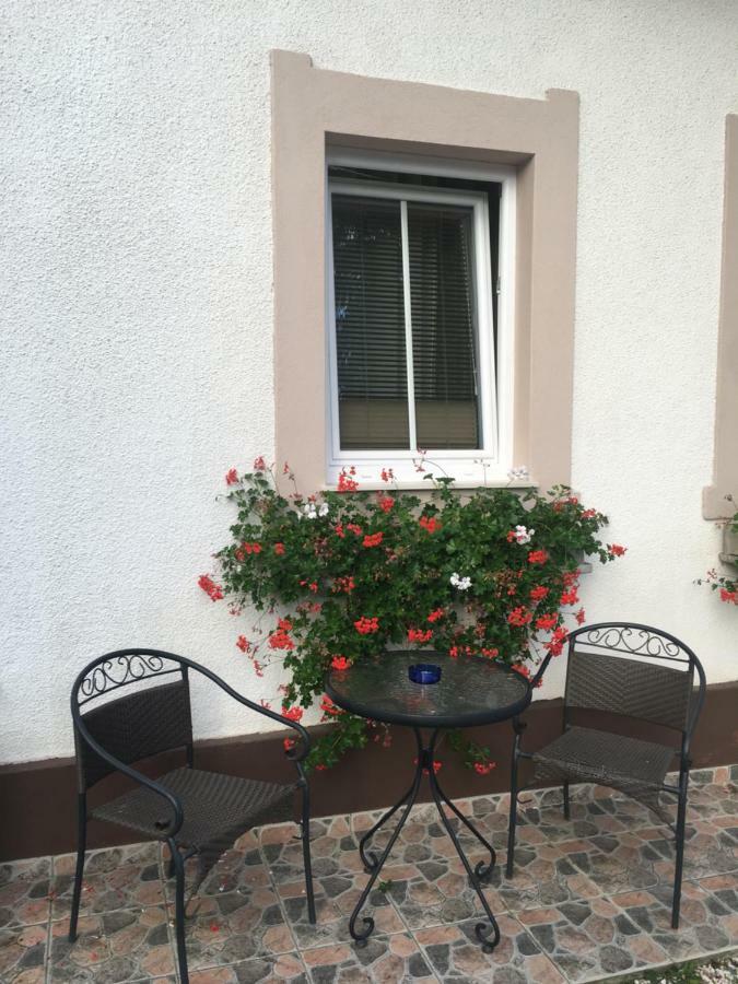 Ferienwohnung Apartma Eli Bled Exterior foto